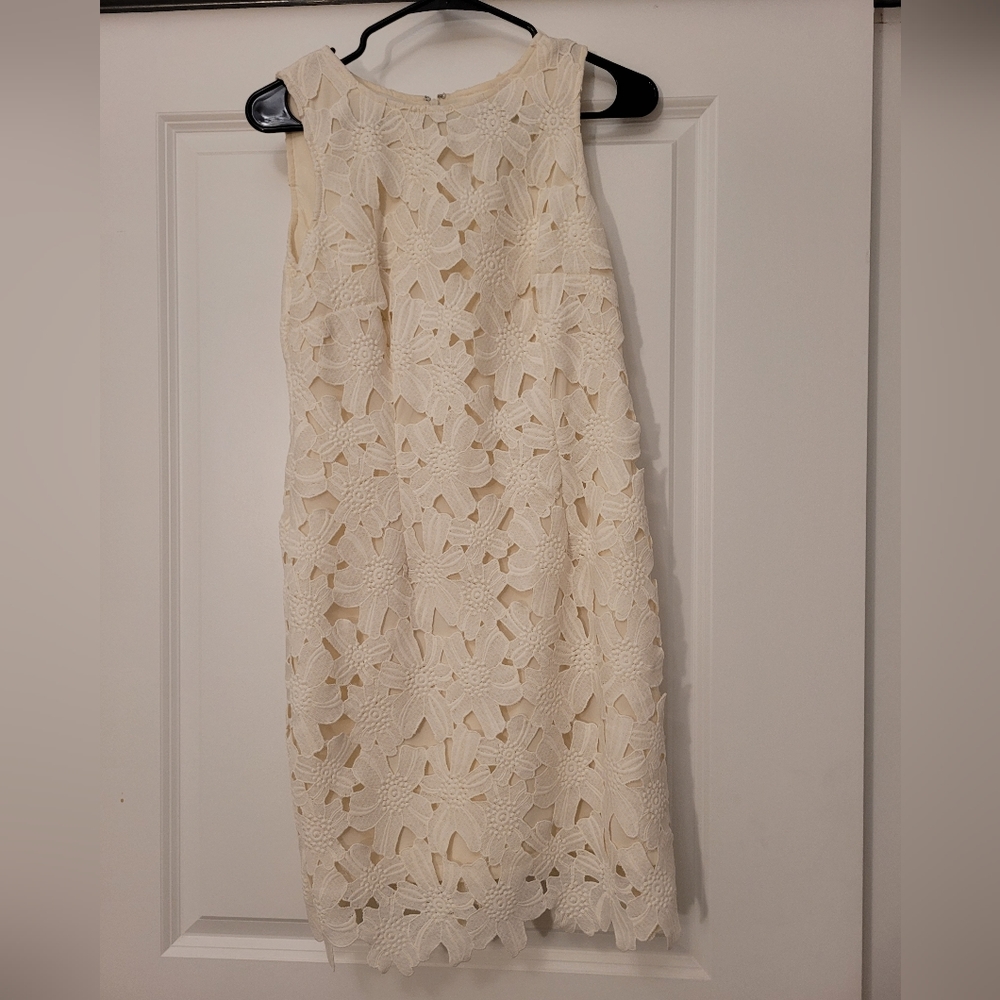 Ann taylor dress